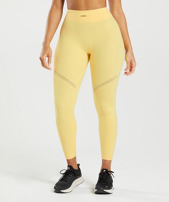 Leggins Gymshark Whitney Mesh Mujer Amarillo | CO 2924WNB